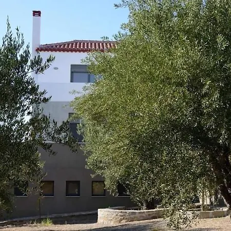 Apartment Liofyto - Stylish With Views To Foinikounda Bay Downstairs