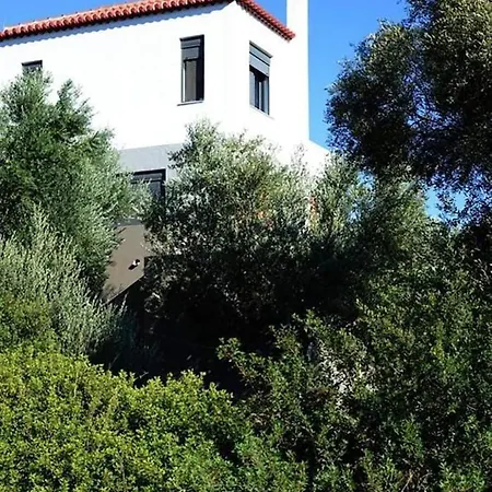 Liofyto - Stylish With Views To Foinikounda Bay Downstairs