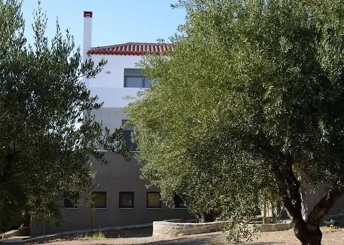 Apartment Liofyto - Stylish With Views To Foinikounda Bay Downstairs